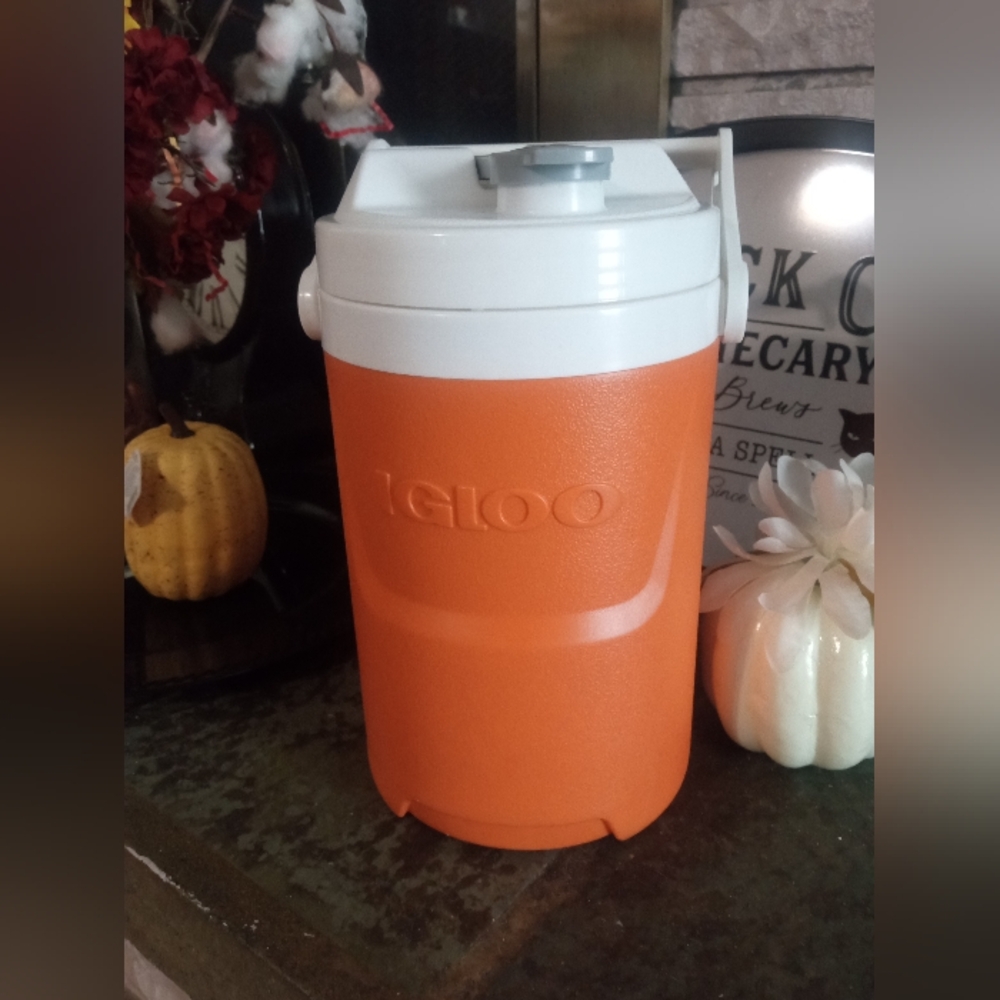 Igloo container